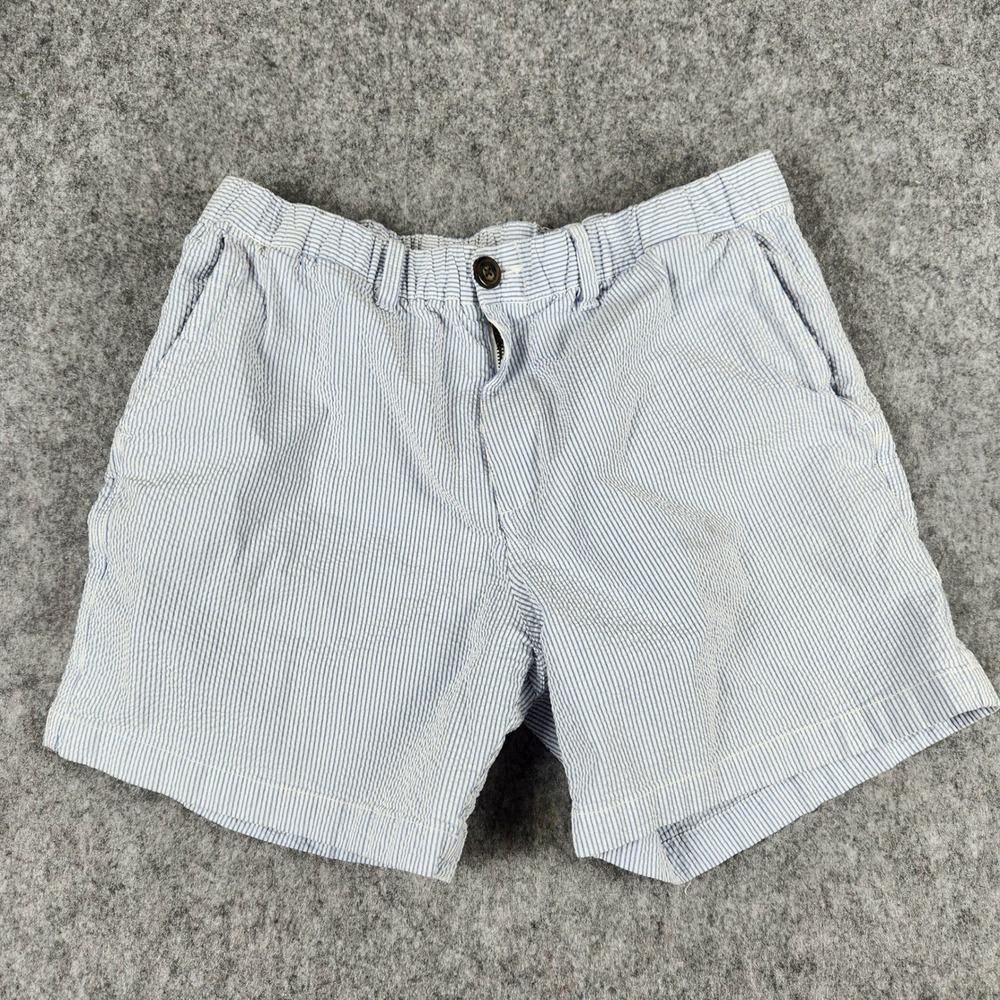 Chubbies Originals Shorts Men L Blue Seersucker Striped 5.5 Inseam Casual Summer - Picture 1 of 13